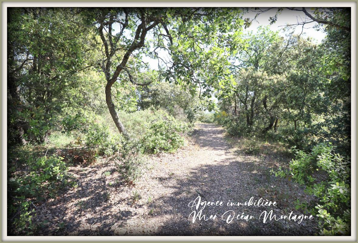 For sale Land Tourbes